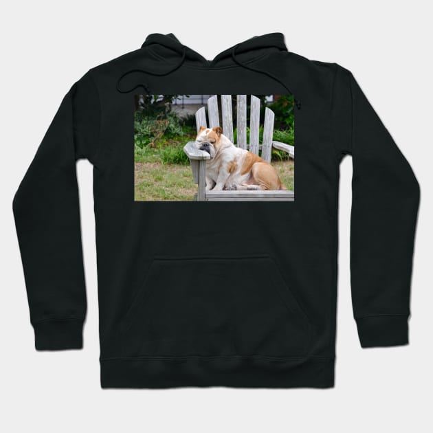 Bulldog Hoodie by kawaii_shop